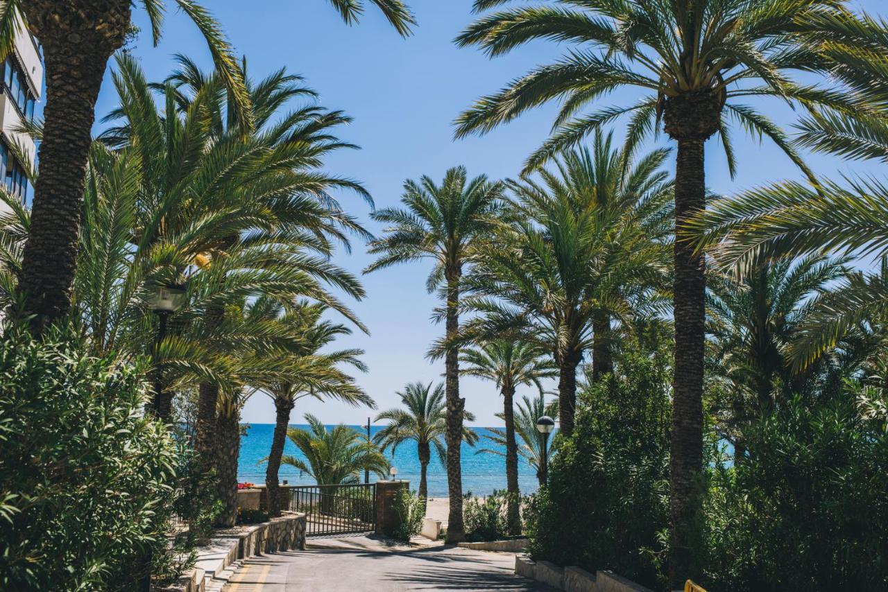 Apartamento Glp Raspeig Dreamsea El Campello Exterior foto